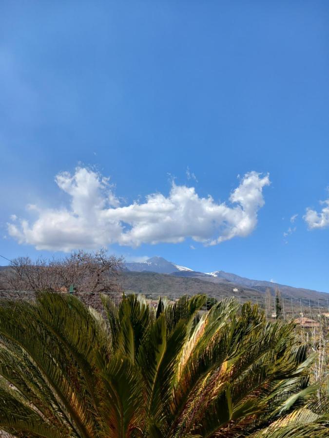 Etna Green House Villa Zafferana Etnea Exterior foto