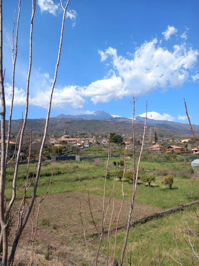 Etna Green House Villa Zafferana Etnea Exterior foto